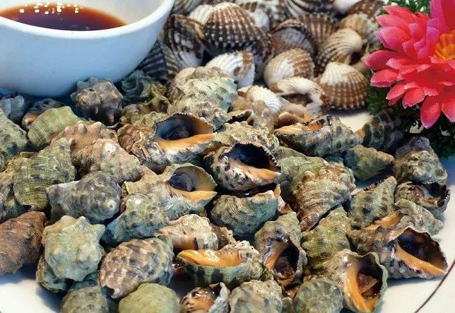 白灼小海螺。摄影/沈嘉禄