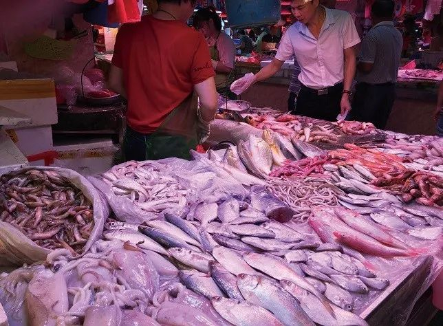 开捕后，广州菜场里的鲜鱼铺天盖地，价格也便宜下来了。摄影/沈嘉禄