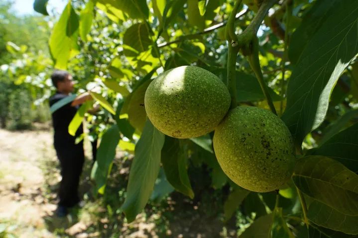 （图片来源：新华网）