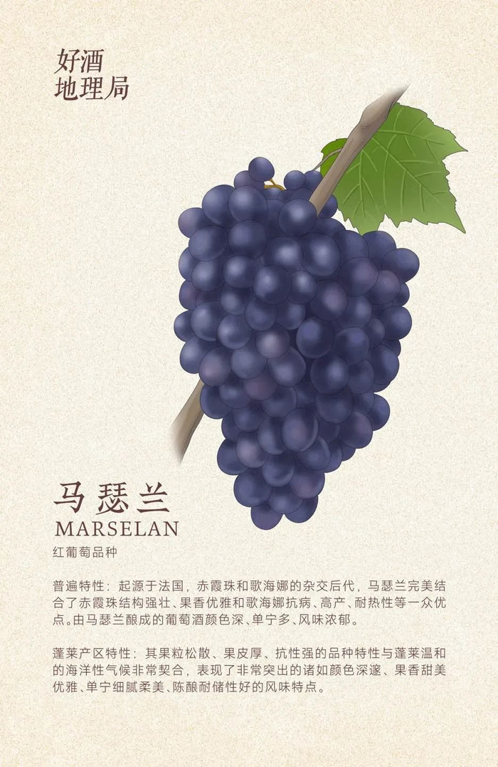 制图/好酒地理局视觉中心