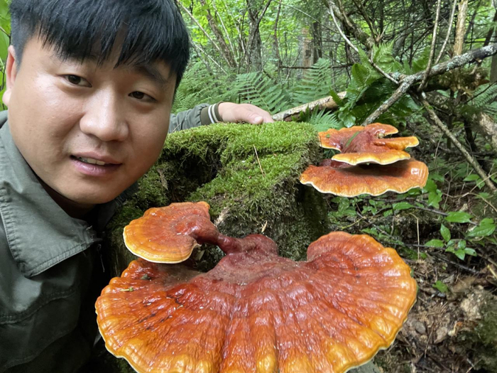 找到灵芝时，卢小开和灵芝的合照