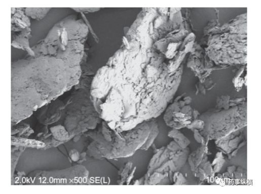 图5. Sigma公司的超纯SLS扫描电镜图