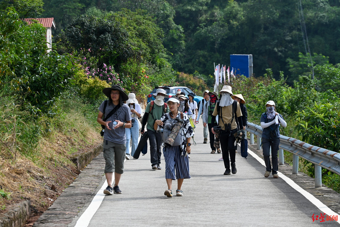 ▲观鸟爱好者徒步前往观测点
