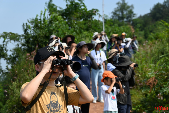 ▲成都市龙泉山，观鸟爱好者在迁徙猛禽监测点观测