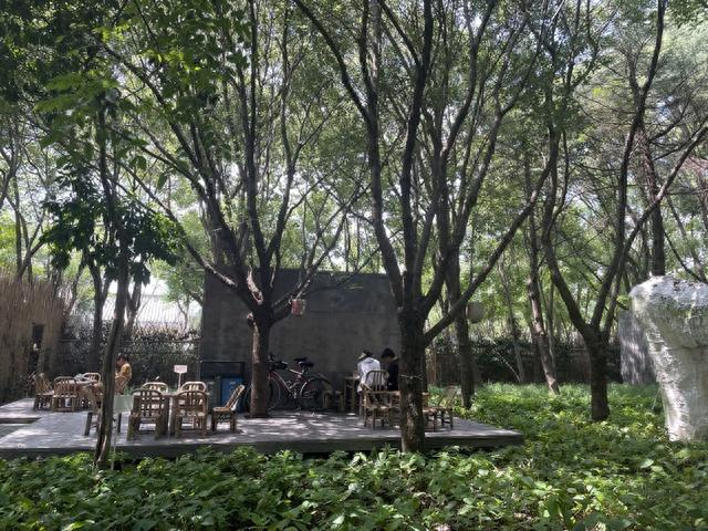 户外空间便于自行车停放。肖雅文 摄