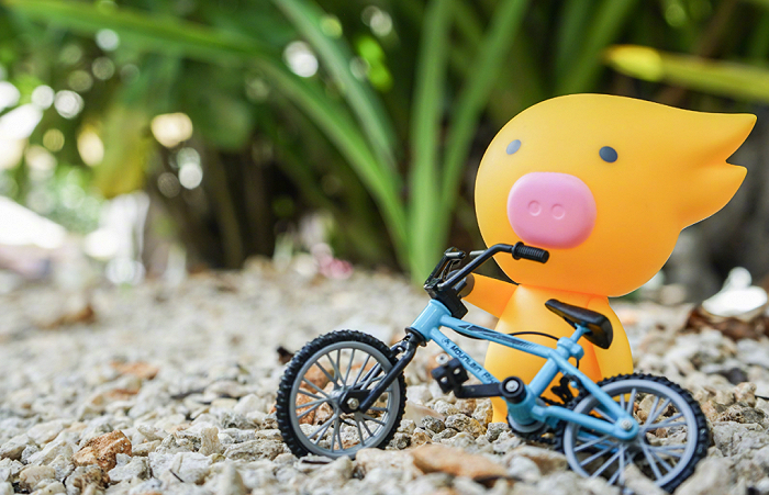 （图 / 飞猪微博）