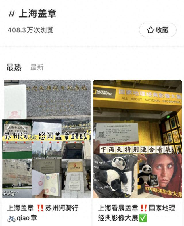 小红书上的相关话题有数百万浏览量 网页截图