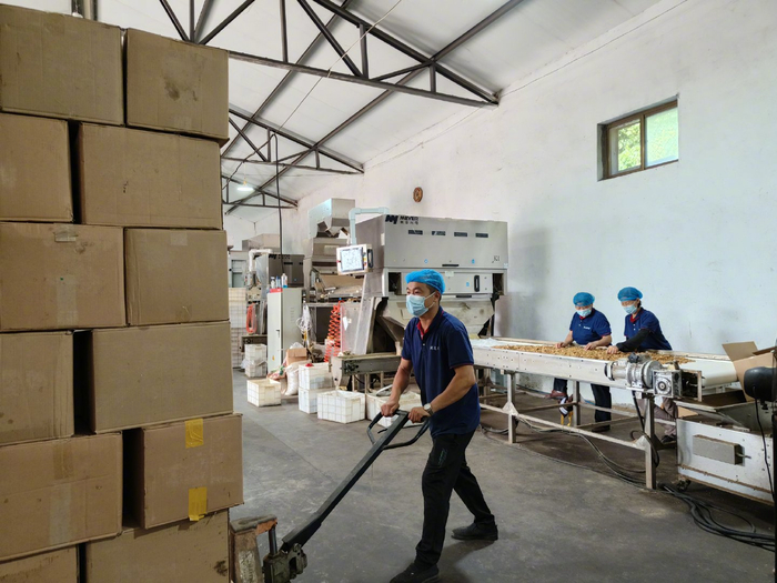 西柏坡鑫缘贸易有限公司的工人各司其职。