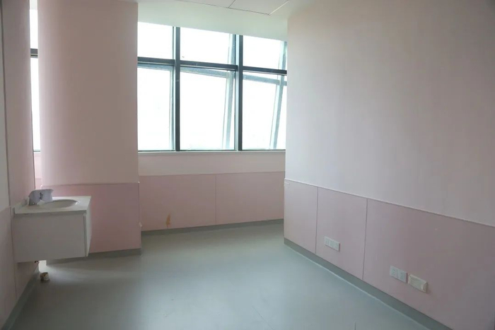 湛江发布编辑部