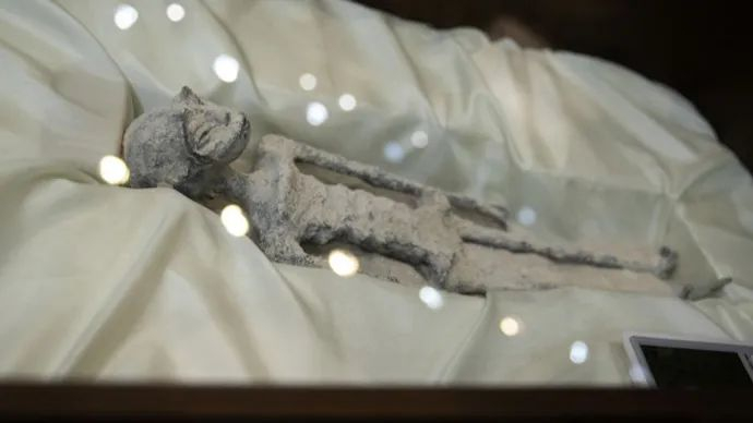 所谓的外星生物。图源视频截图。