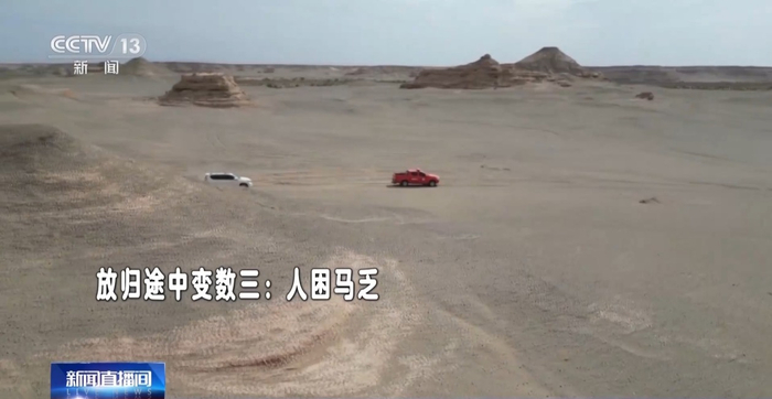 放归途中变数三：人困马乏