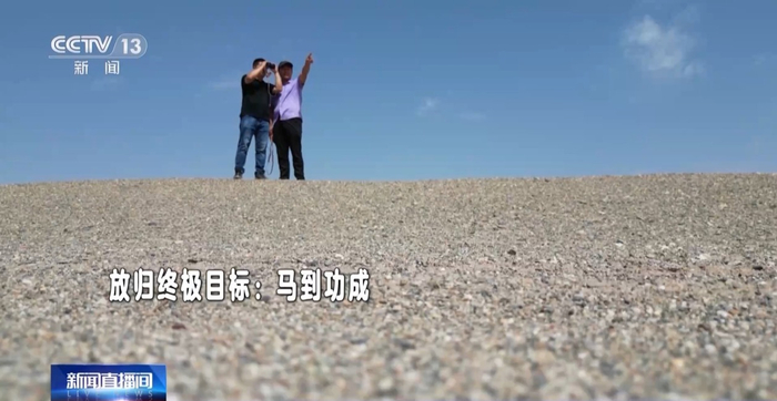 放归终极目标：马到功成