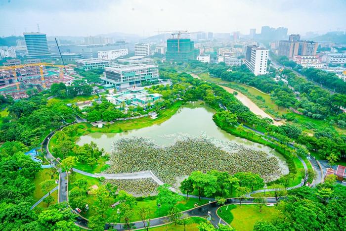 深圳未来大厦蝴蝶湖。
