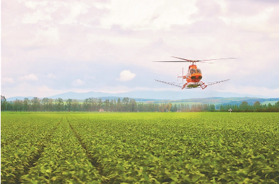 大豆航化作业。于爽摄