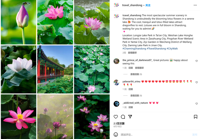 图7 山东省文化和旅游厅Instagram账号截图