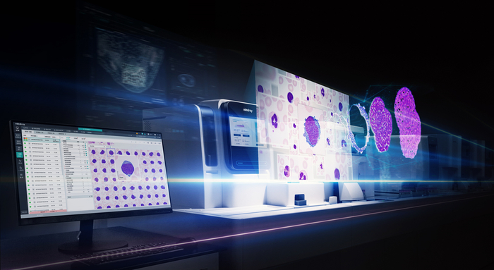 图片来源：企业供图