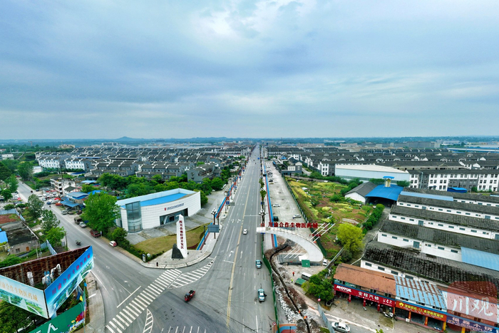 俯瞰岳池生物医药产业园。吴迪/摄