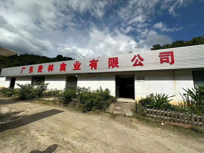 △位于肇庆封开的广东麦林禽业有限公司。杨乐祺 摄