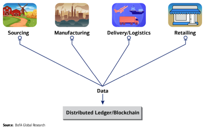 图表 3：供应链的未来状态——参与者维护分布式（共享）基础设施
