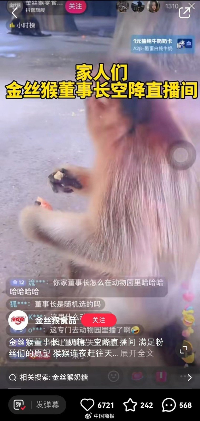 金丝猴等老牌国货直播间纷纷开启动物直播。（图片源自小红书App截图）