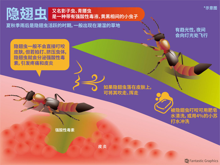 ▲资料图片&nbsp;图据IC photo