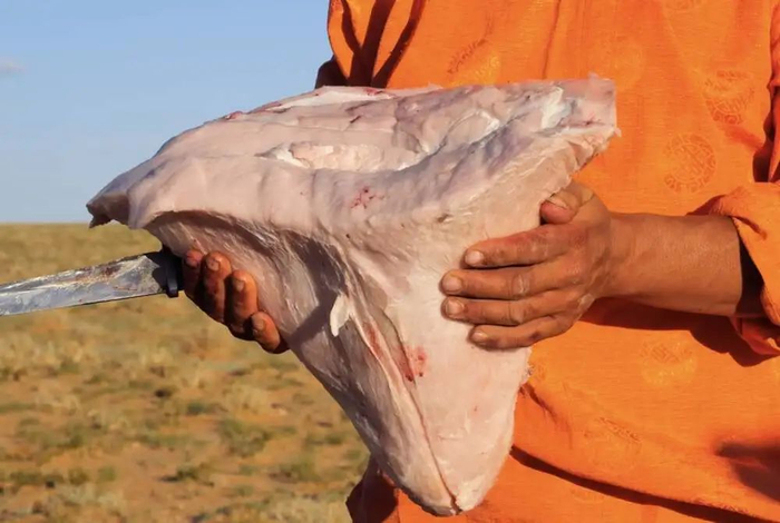 驼峰又称峰子油，单个重量可达几十斤