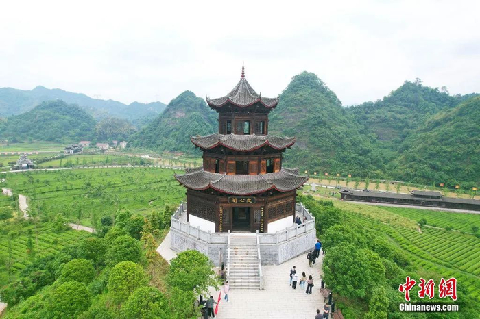 沅陵县官庄镇界亭驿村茶园美景.杨华峰 摄