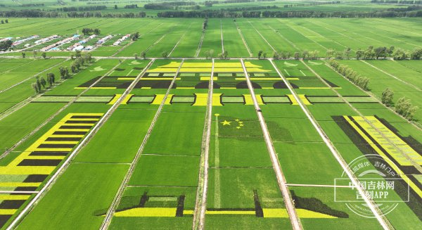 松原市前郭县灌区国营红光农场