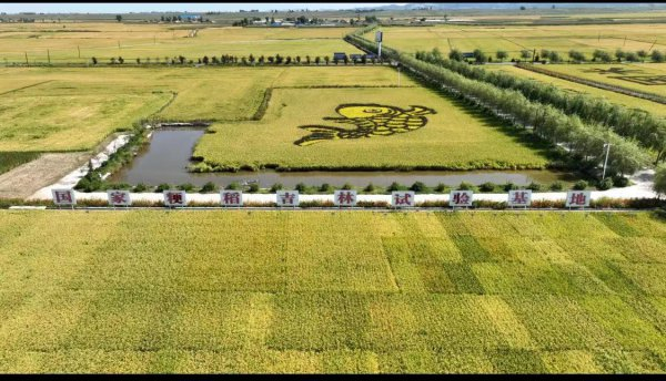 永吉九月丰家庭农场