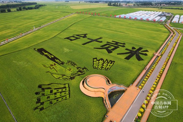 长春市九台区龙嘉街道红光村276公顷的稻田公园