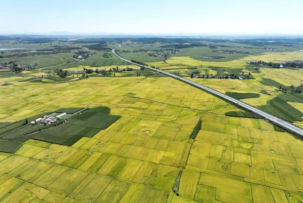 东丰县东丰镇横道村千亩稻田风景