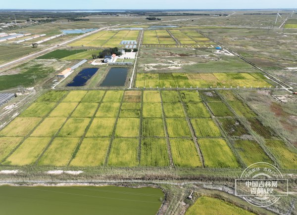 吉林大安农田生态系统国家野外科学观测研究站
