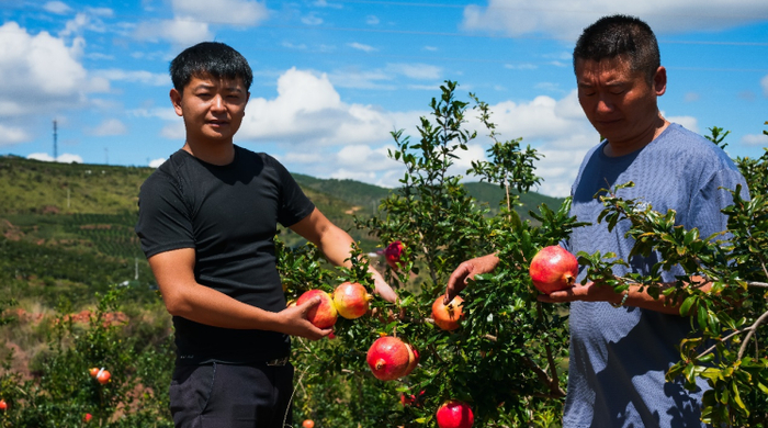 △90后电商新农人王威（左），退伍后选择返乡创业。李里 摄