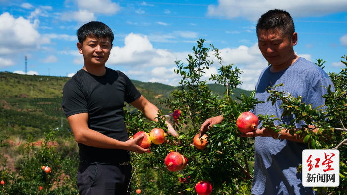 ▲90后电商新农人王威（左），退伍后选择返乡创业。李里 摄