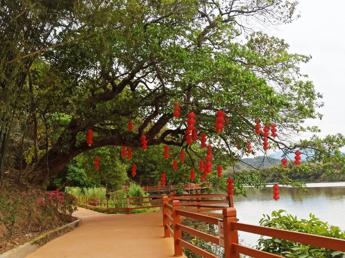 △图源 绥江竹海生态旅游景区