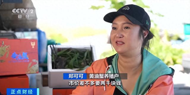 图片来源：央视财经