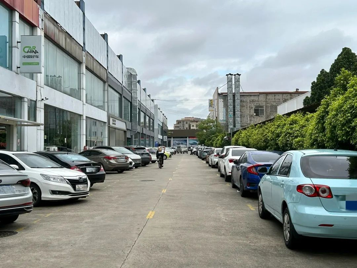 图/佛山新闻网吴婷婷