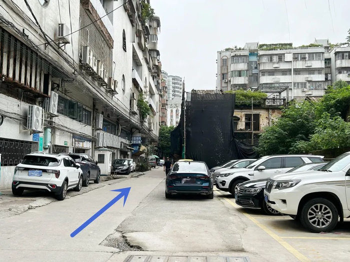 图/佛山新闻网吴婷婷