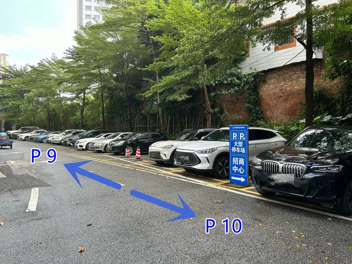 图/佛山新闻网吴婷婷