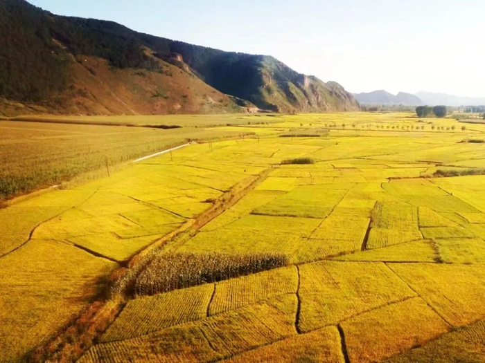 内蒙古自治区田间秋色        刘志良 摄