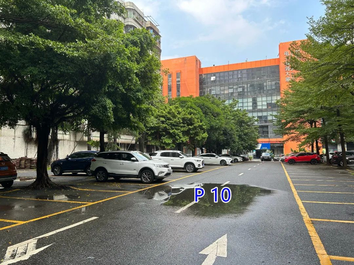 图/佛山新闻网吴婷婷