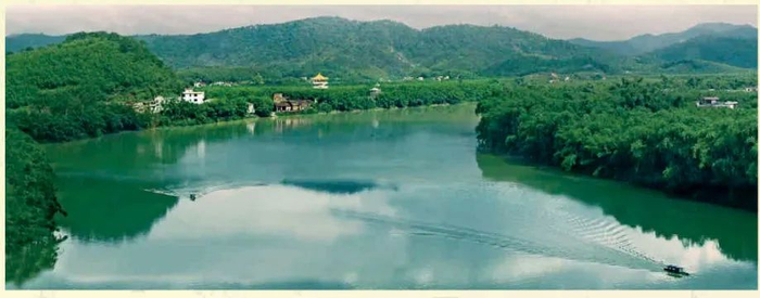 △图源 绥江竹海生态旅游景区