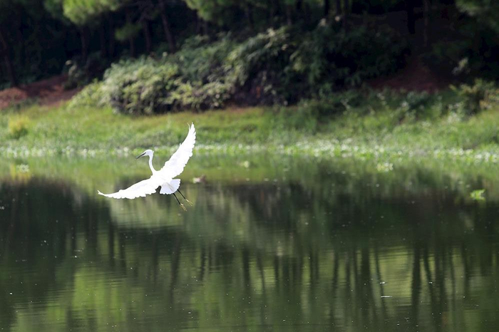 △图源 怀集发布