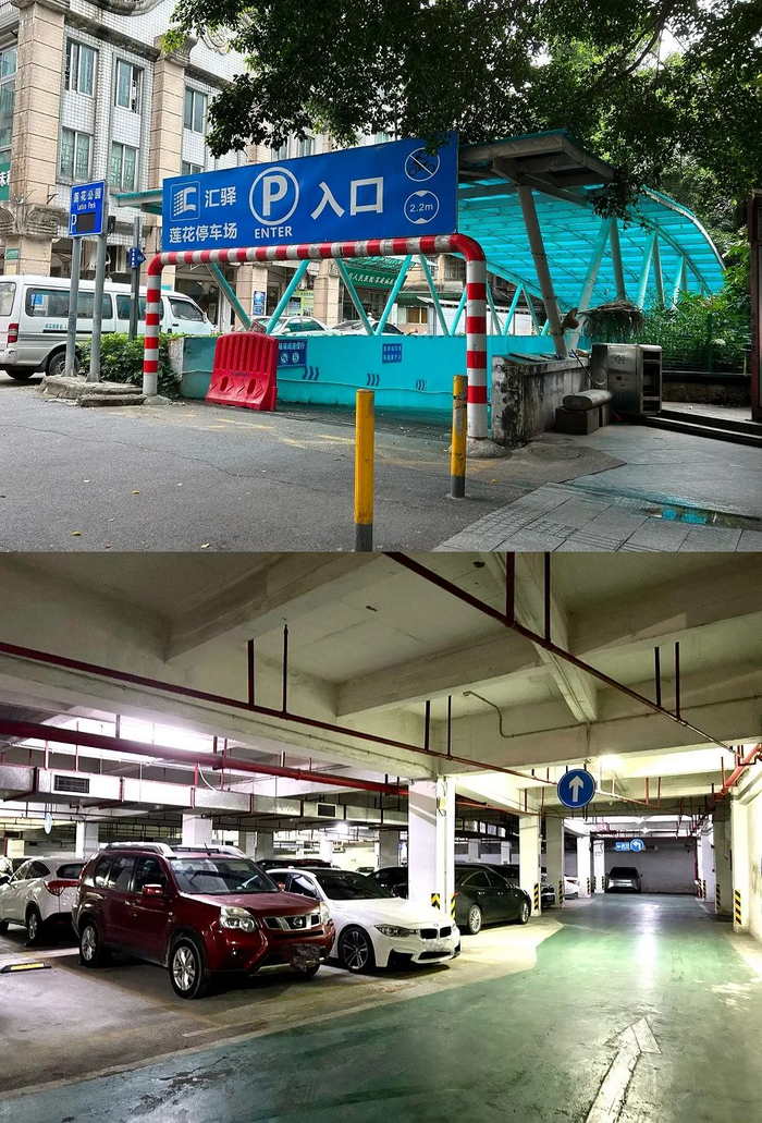 图/佛山新闻网吴婷婷