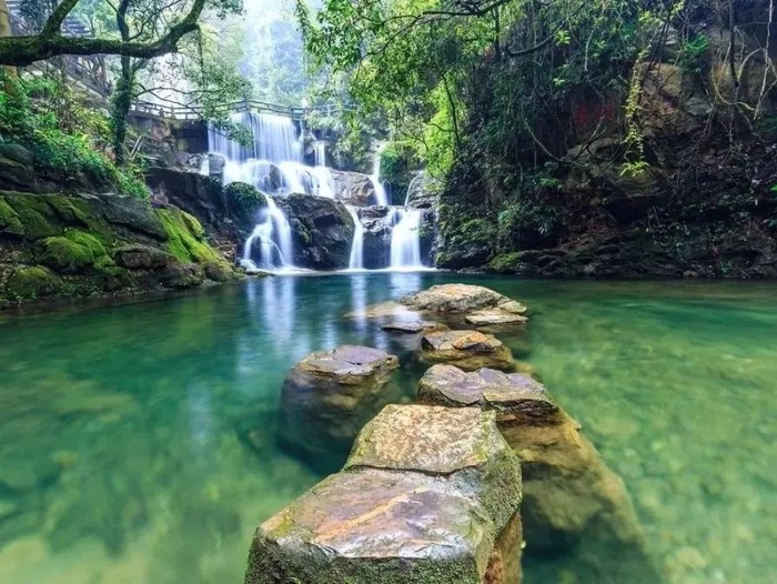 △图片来源 梁亮、欧镜晖、多彩肇庆