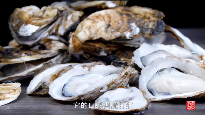 湛江生蚝宣传片。