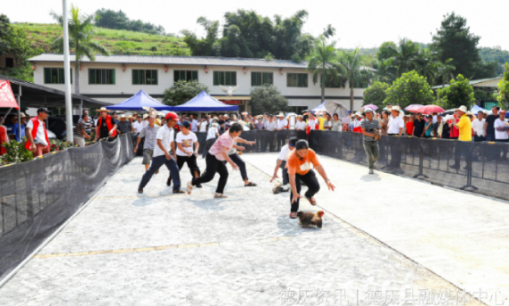 △德庆分会场的趣味活动精彩不断。图源 德庆发布