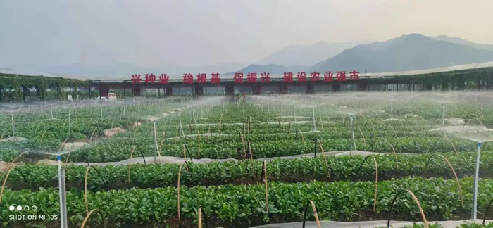 △良种基地。图源 浦特公司供图