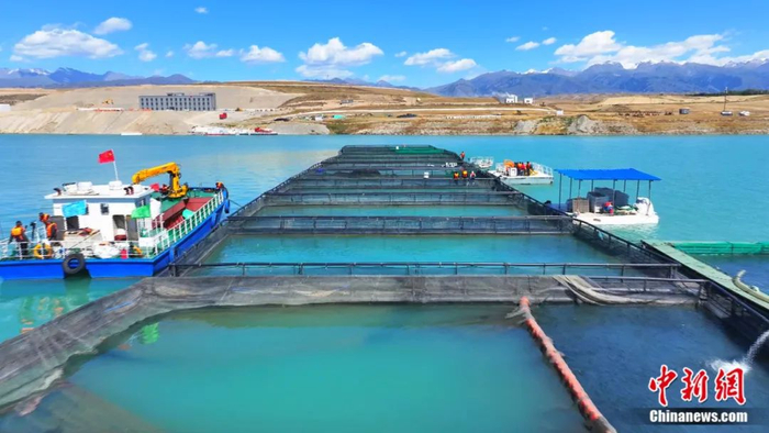 三文鱼养殖区域。曹明 摄