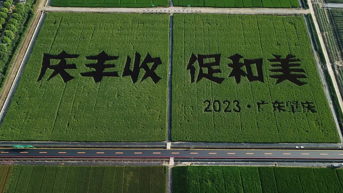 △图源 浦特公司供图